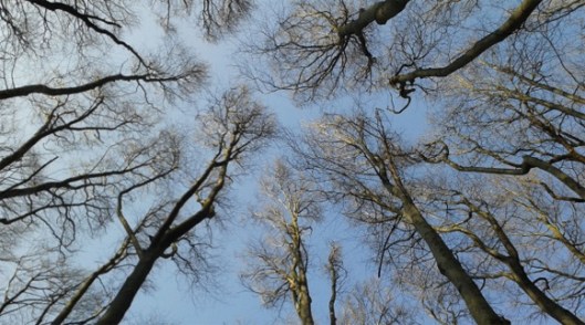 (c) Franziska Trebut