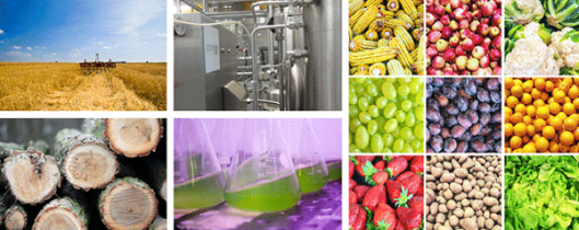 Symbolbild Bioökonomie