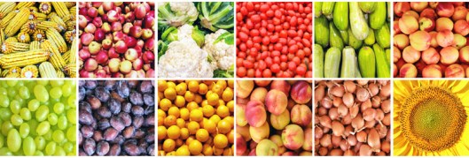 (c) Aleksandar Mijatovic/Fotolia